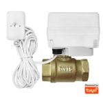 SimPal-TY150 Tuya WiFi Valve